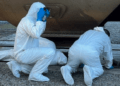 Arkansas Tyson workers